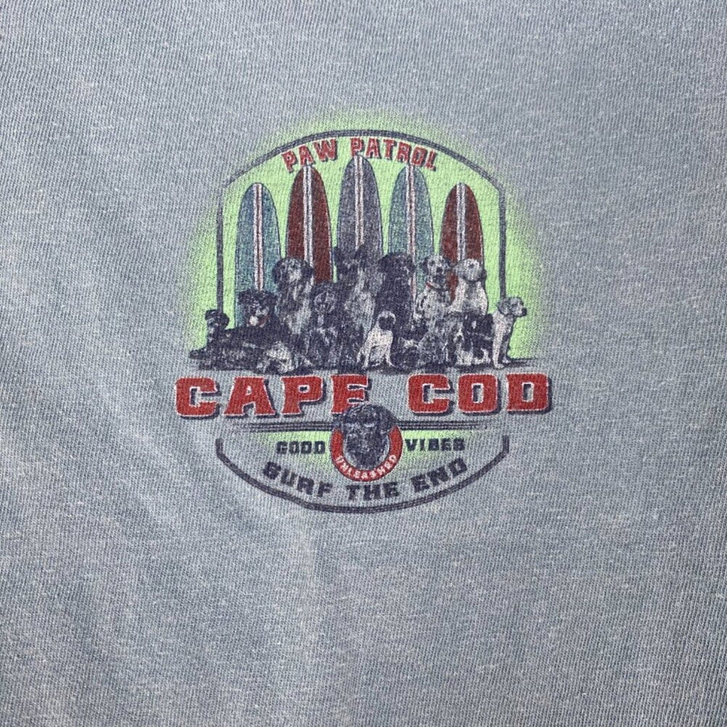 Cape Code Paw Patrol Dog Surfboard Graphic Cotton Faded Pale Blue Tee Small