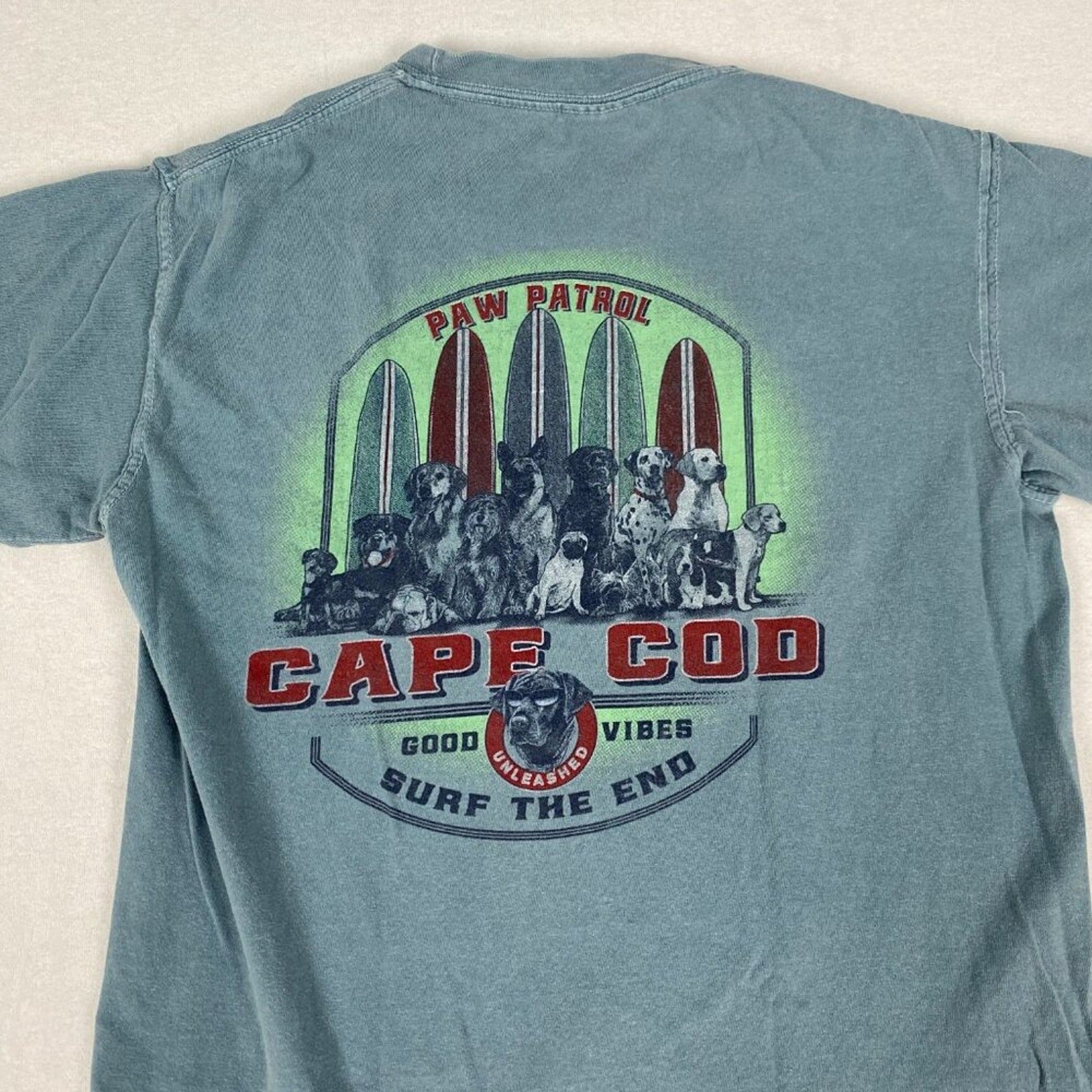 Cape Code Paw Patrol Dog Surfboard Graphic Cotton Faded Pale Blue Tee Small