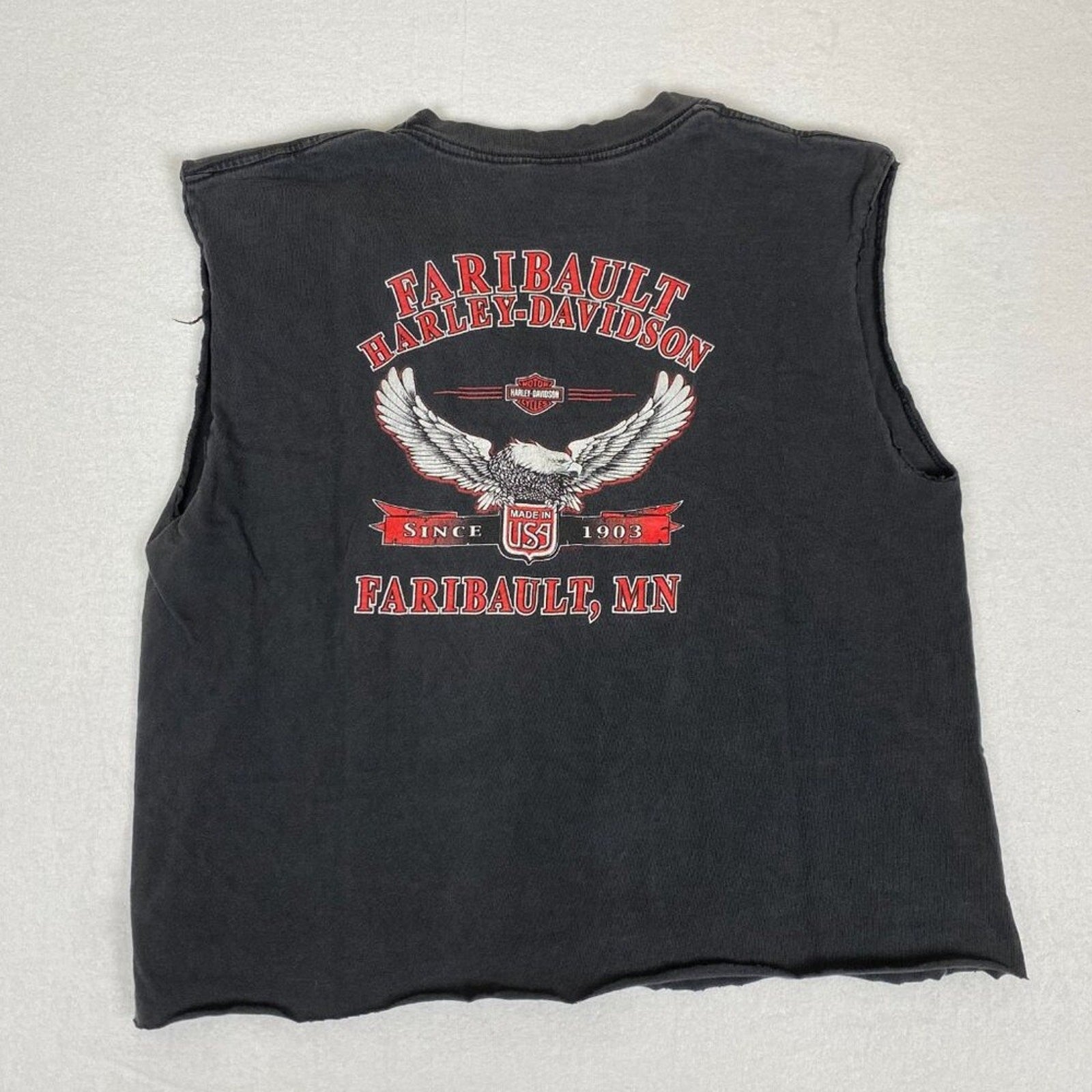 Vintage Harley Davidson Made in USA Purple Wing Cropped Sleeveless Minnesota Tee
