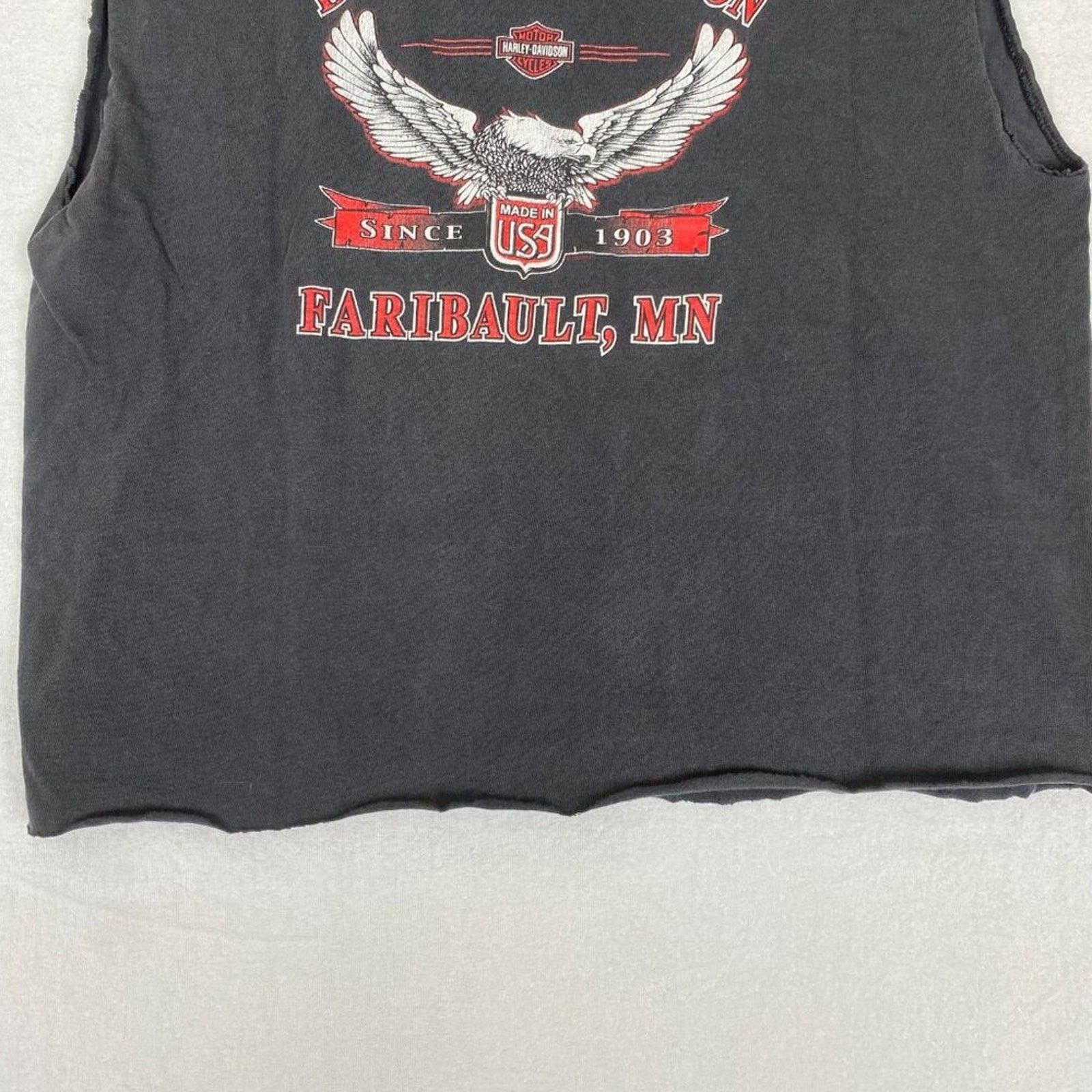 Vintage Harley Davidson Made in USA Purple Wing Cropped Sleeveless Minnesota Tee