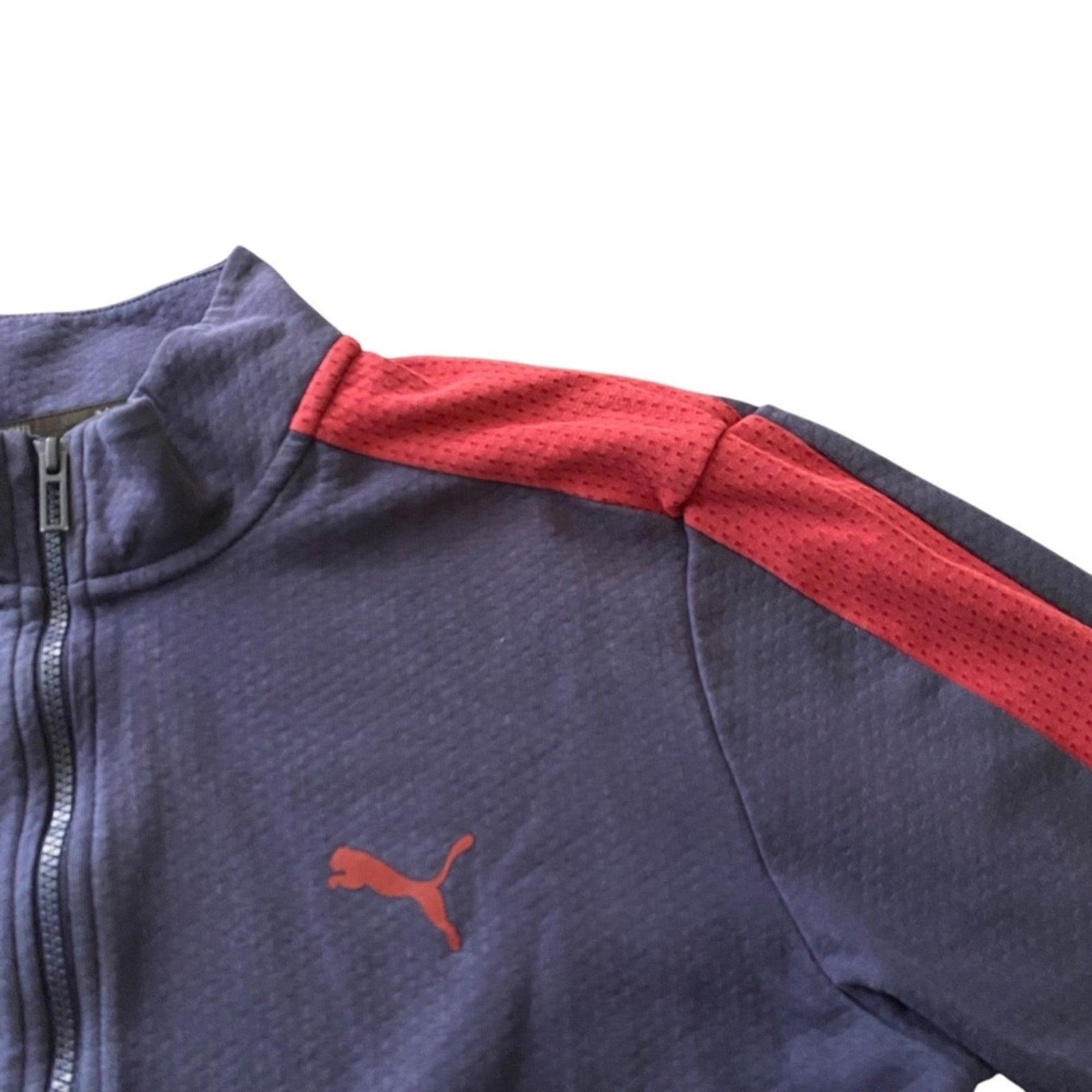 Puma Navy Blue Ted Stripe Graphic Zipper Athletic Jacket Size Large