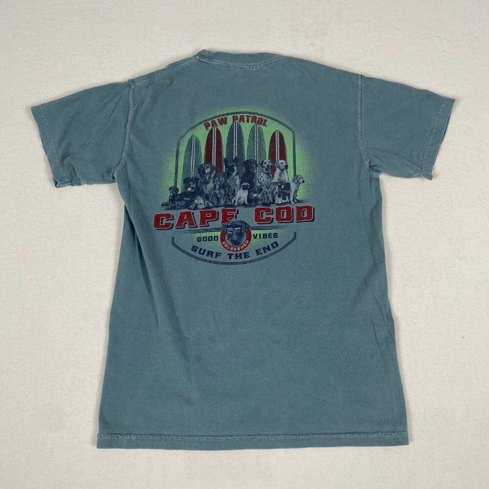 Cape Code Paw Patrol Dog Surfboard Graphic Cotton Faded Pale Blue Tee Small