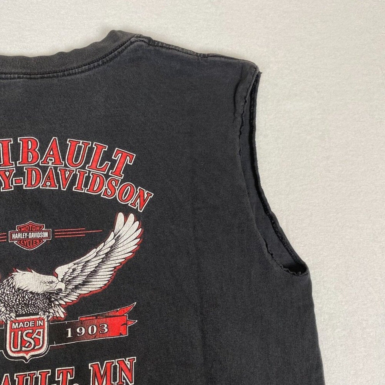 Vintage Harley Davidson Made in USA Purple Wing Cropped Sleeveless Minnesota Tee